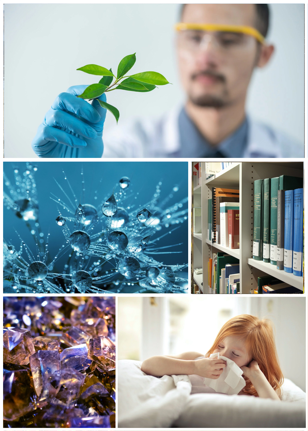 Fun Scientific Facts - Stories with Clever Hedgehog