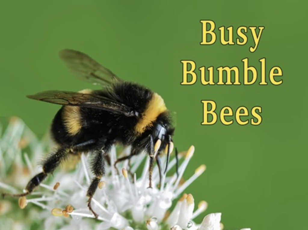 busy bumble bees