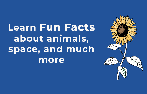Learn Fun Facts about animals, space, and much more
