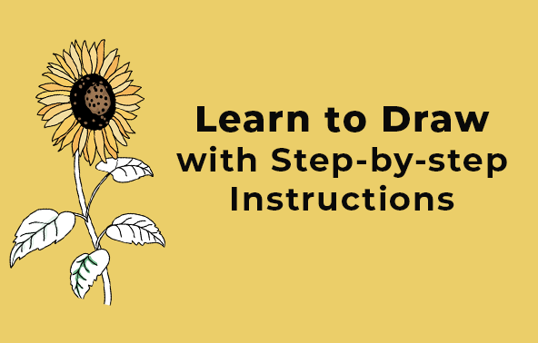 Learn to Draw 
